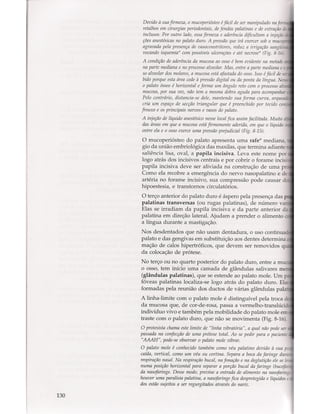 Livro: Anatomia da Face  odontostation@gmail.com