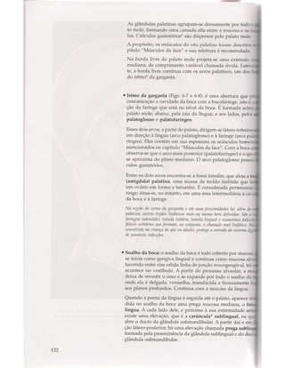 Livro: Anatomia da Face  odontostation@gmail.com