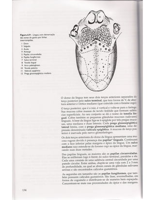 Livro: Anatomia da Face  odontostation@gmail.com