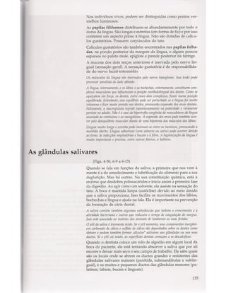 Livro: Anatomia da Face  odontostation@gmail.com