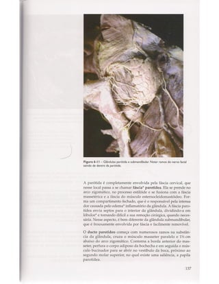 Livro: Anatomia da Face  odontostation@gmail.com