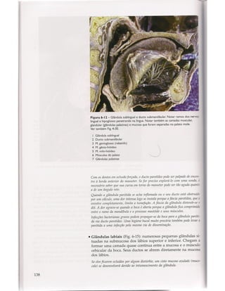 Livro: Anatomia da Face  odontostation@gmail.com