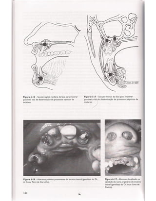 Livro: Anatomia da Face  odontostation@gmail.com