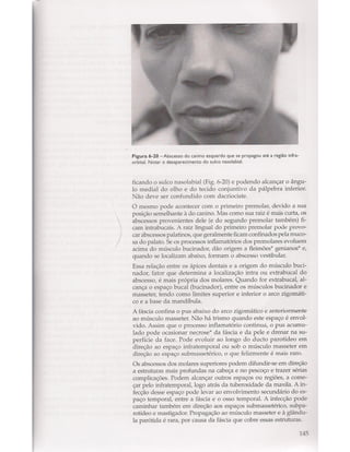 Livro: Anatomia da Face  odontostation@gmail.com