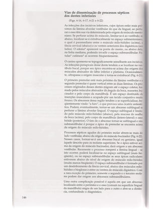 Livro: Anatomia da Face  odontostation@gmail.com