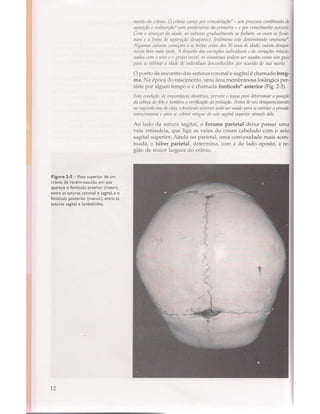 Livro: Anatomia da Face  odontostation@gmail.com