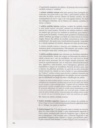 Livro: Anatomia da Face  odontostation@gmail.com