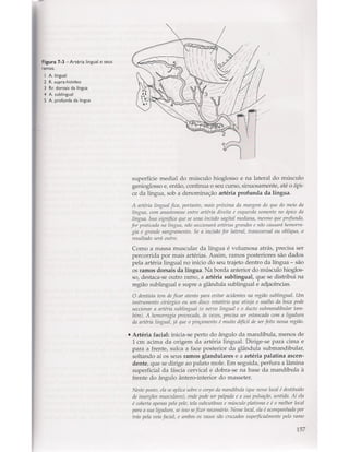 Livro: Anatomia da Face  odontostation@gmail.com