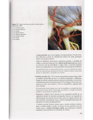 Livro: Anatomia da Face  odontostation@gmail.com