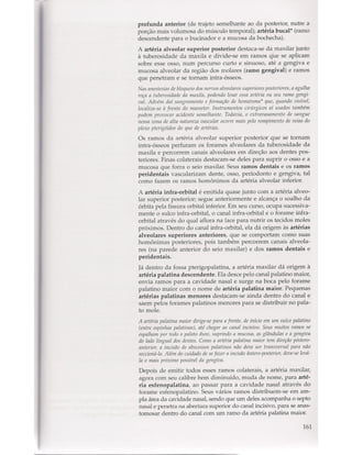 Livro: Anatomia da Face  odontostation@gmail.com