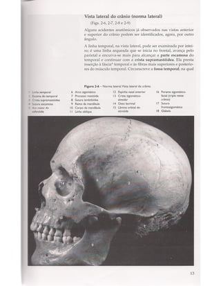 Livro: Anatomia da Face  odontostation@gmail.com