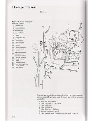 Livro: Anatomia da Face  odontostation@gmail.com