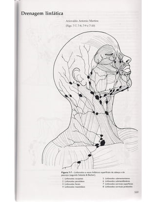 Livro: Anatomia da Face  odontostation@gmail.com