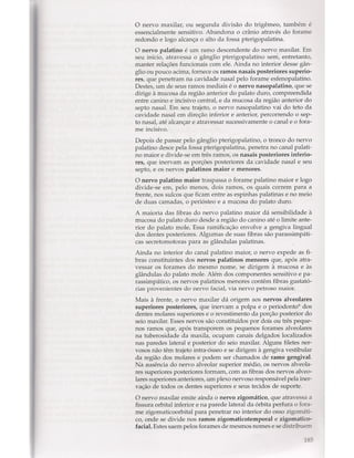 Livro: Anatomia da Face  odontostation@gmail.com