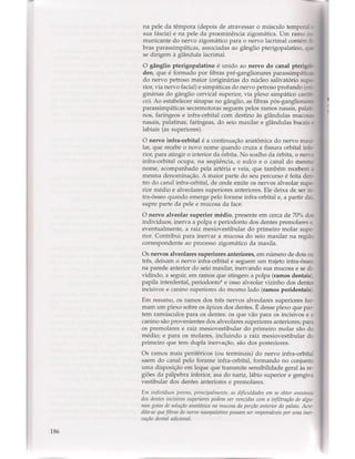 Livro: Anatomia da Face  odontostation@gmail.com