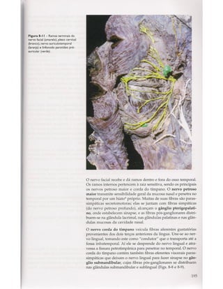 Livro: Anatomia da Face  odontostation@gmail.com