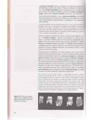 Livro: Anatomia da Face  odontostation@gmail.com