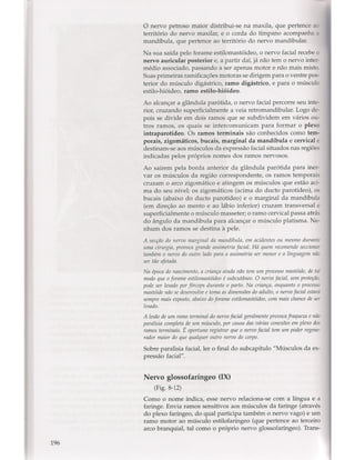 Livro: Anatomia da Face  odontostation@gmail.com