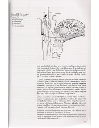 Livro: Anatomia da Face  odontostation@gmail.com
