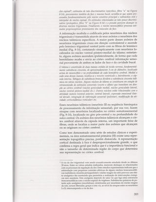 Livro: Anatomia da Face  odontostation@gmail.com