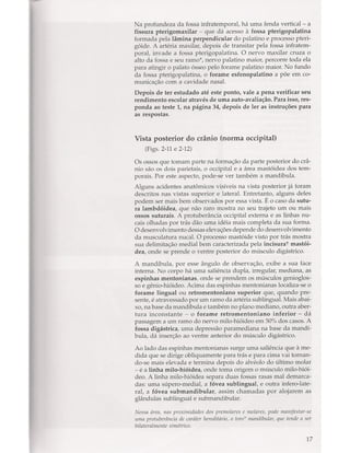 Livro: Anatomia da Face  odontostation@gmail.com