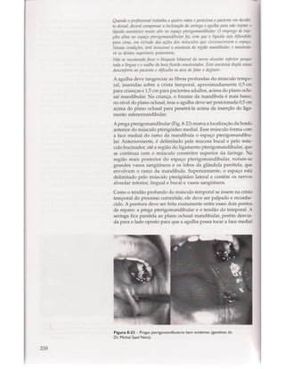 Livro: Anatomia da Face  odontostation@gmail.com