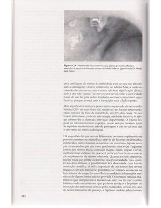Livro: Anatomia da Face  odontostation@gmail.com