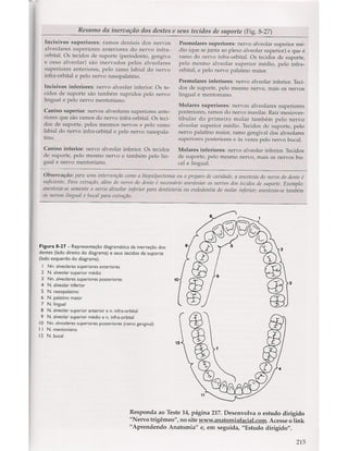 Livro: Anatomia da Face  odontostation@gmail.com