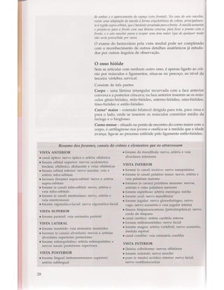 Livro: Anatomia da Face  odontostation@gmail.com