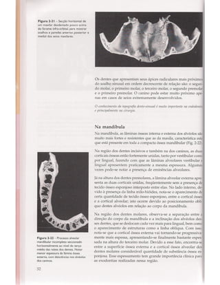Livro: Anatomia da Face  odontostation@gmail.com