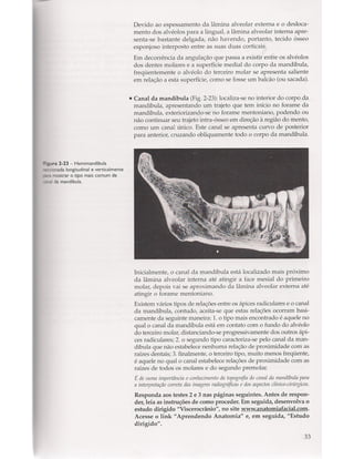 Livro: Anatomia da Face  odontostation@gmail.com