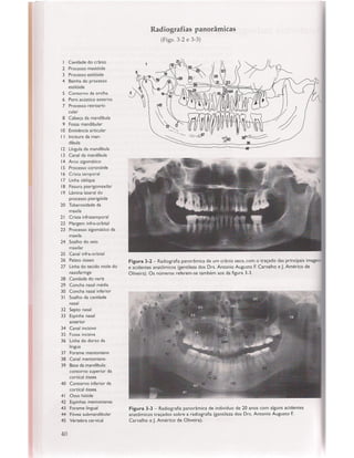Livro: Anatomia da Face  odontostation@gmail.com