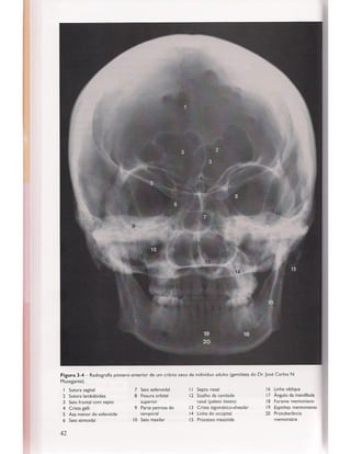 Livro: Anatomia da Face  odontostation@gmail.com