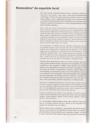 Livro: Anatomia da Face  odontostation@gmail.com