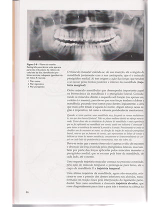 Livro: Anatomia da Face  odontostation@gmail.com
