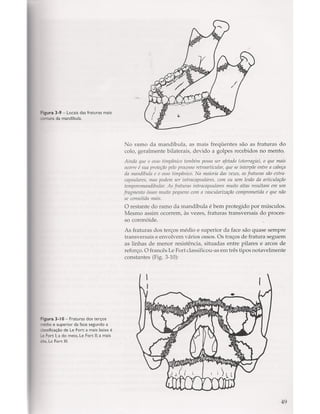 Livro: Anatomia da Face  odontostation@gmail.com