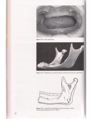 Livro: Anatomia da Face  odontostation@gmail.com
