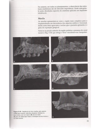 Livro: Anatomia da Face  odontostation@gmail.com