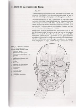 Livro: Anatomia da Face  odontostation@gmail.com