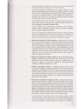 Livro: Anatomia da Face  odontostation@gmail.com