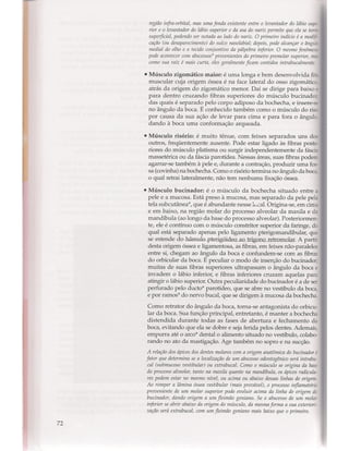 Livro: Anatomia da Face  odontostation@gmail.com