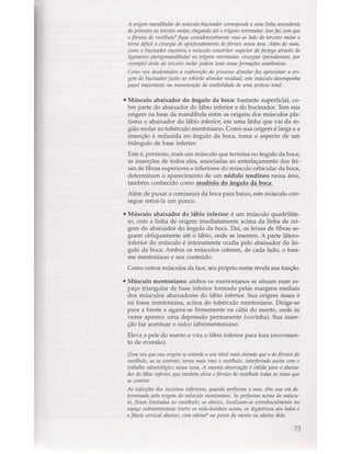 Livro: Anatomia da Face  odontostation@gmail.com