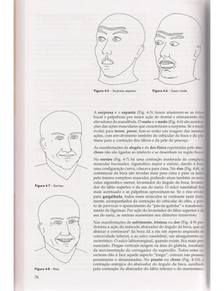 Livro: Anatomia da Face  odontostation@gmail.com
