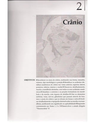 Livro: Anatomia da Face  odontostation@gmail.com