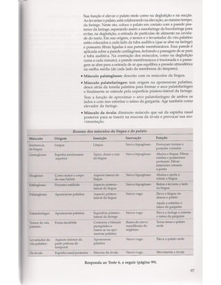 Livro: Anatomia da Face  odontostation@gmail.com