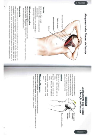 Livro anatomia do alongamento