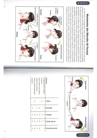 Livro anatomia do alongamento