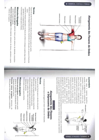 Livro anatomia do alongamento