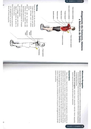Livro anatomia do alongamento