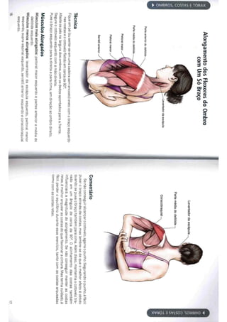 Livro anatomia do alongamento